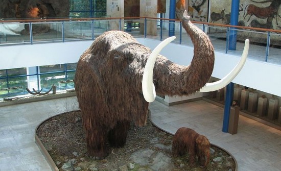Model mamuta.