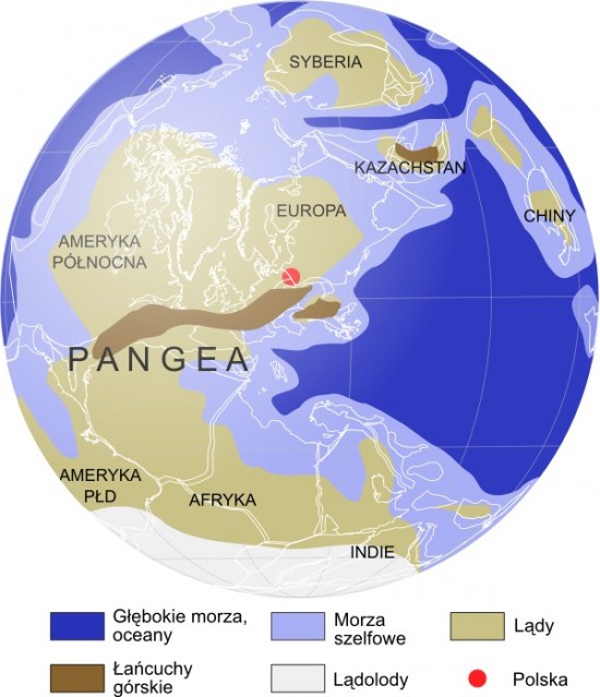 Mapa paleogeograficzna: karbon, 310 mln lat temu.