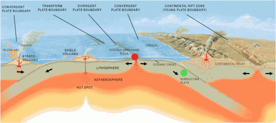 Grzbiety śródoceaniczne i strefy subdukcji.