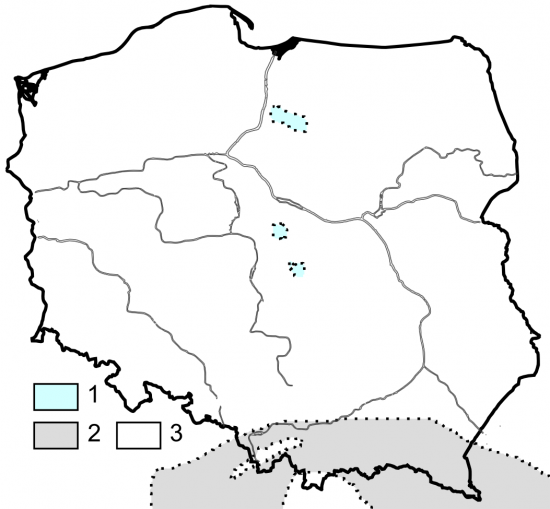 Paleogeografia Polski - późny paleocen.
