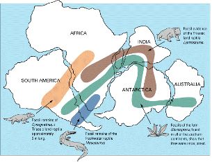 Gondwana: zanim powstał Atlantyk i Ocean Indyjski
