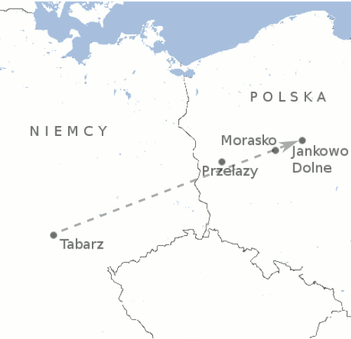 Deszcz meteorytów Morasko (tzw. bolid wielkopolski).
