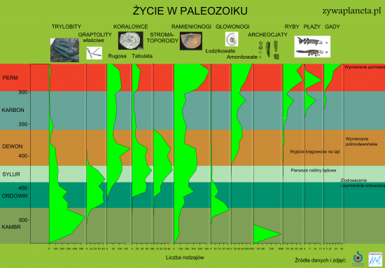 Życie w paleozoiku - infografika.