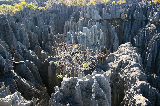 Tsingi na Madagaskarze.
