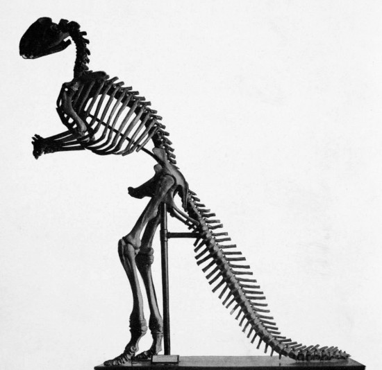 Hadrosaurus - rekonstrukcja z 1868 roku.