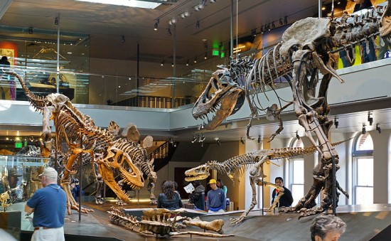 Tyranozaury z Los Angeles (fot. Allie Caulfield, Wikimedia Commons).