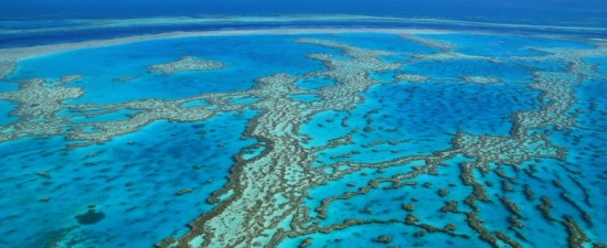 Rafa koralowa, Australia.