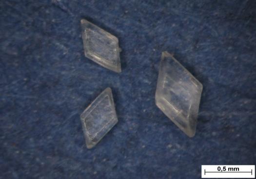 Kryształy gipsu, również znalezionego w polskim halicie.