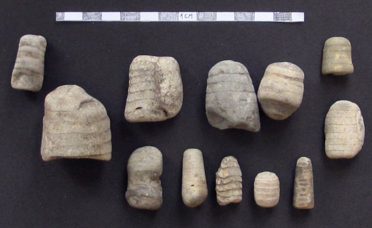 Skamieniałości muszli łodzikowatych (tak zwanych ortocerasów i endocerasów) znalezionych w Obornikach Wielkopolskich, w osadach polodowcowych.