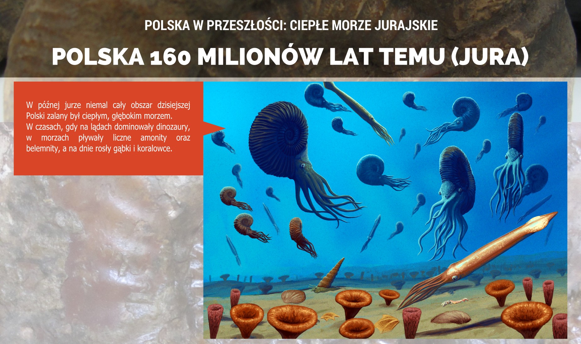 Jurajskie morze na terenie Polski - plakat.
