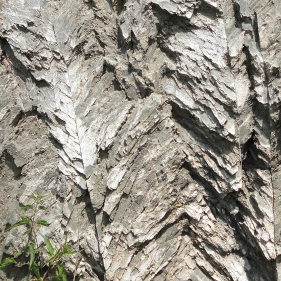 Skały gipsowe z Doliny Nidy; pojedyncze kryształy widoczne na zdjęciu mają kilkanaście centymetrów długości.