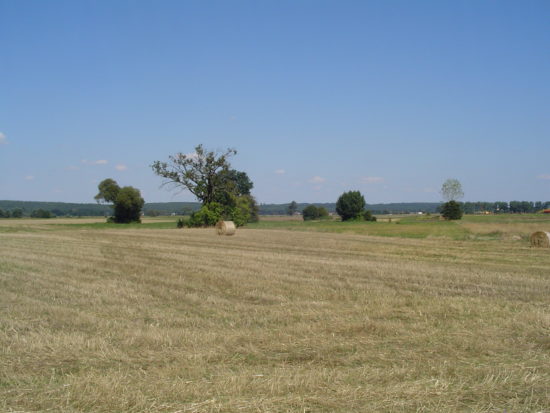 Równinne dno pradoliny warszawsko-berlińskiej w rejonie Kościana (Wielkopolska).