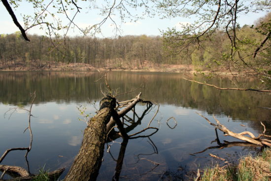 Jeziora w zagłębieniach bezodpływowych na terenach ostatniego zlodowacenia często mają okrągły zarys. Jezioro Kociołek w Wielkopolskim Parku Narodowym.