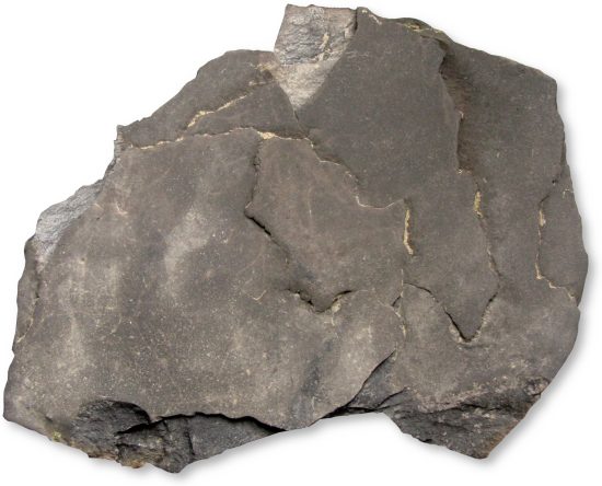 Łupek cieszyński z Żywca.