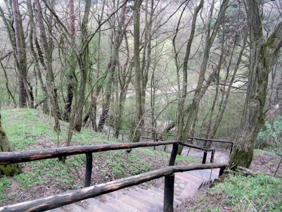 Schody na wierzchołek ozu. Żarnowiec koło Poznania.