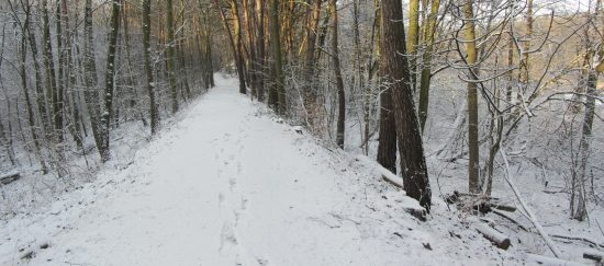 Droga prowadząca grzbietem ozu.