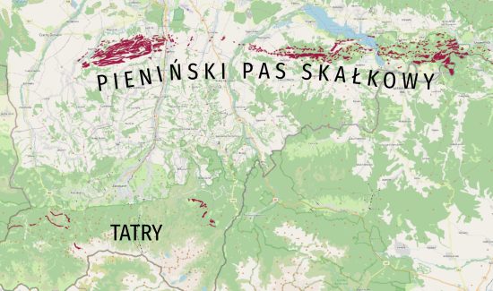 Radiolaryty w Pieninach i Tatrach.