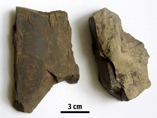 Radiolaryty z Sokolicy (Pieniny).