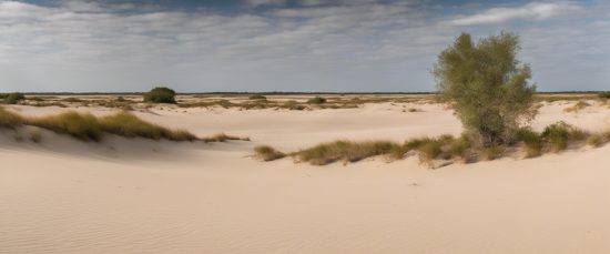 Równina sandrowa - rekonstrukcja.