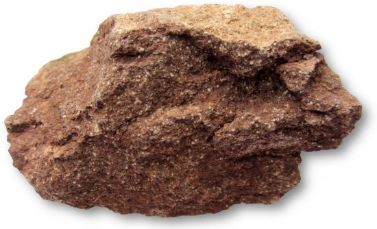 Wapień krynoidowy z Czorsztyna (Pieniny).